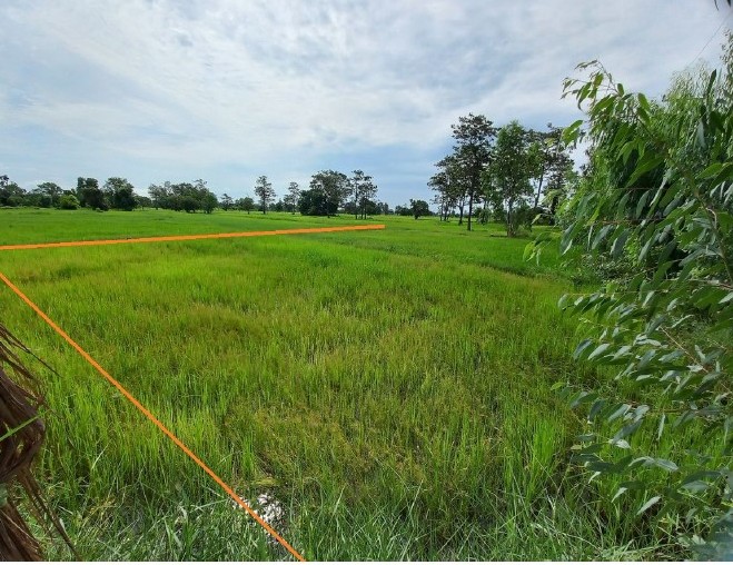 ขายทอดตลาด ที่ดินว่างเปล่า ต.ฟ้าหยาด อ.มหาชนะชัย จ.ยโสธร