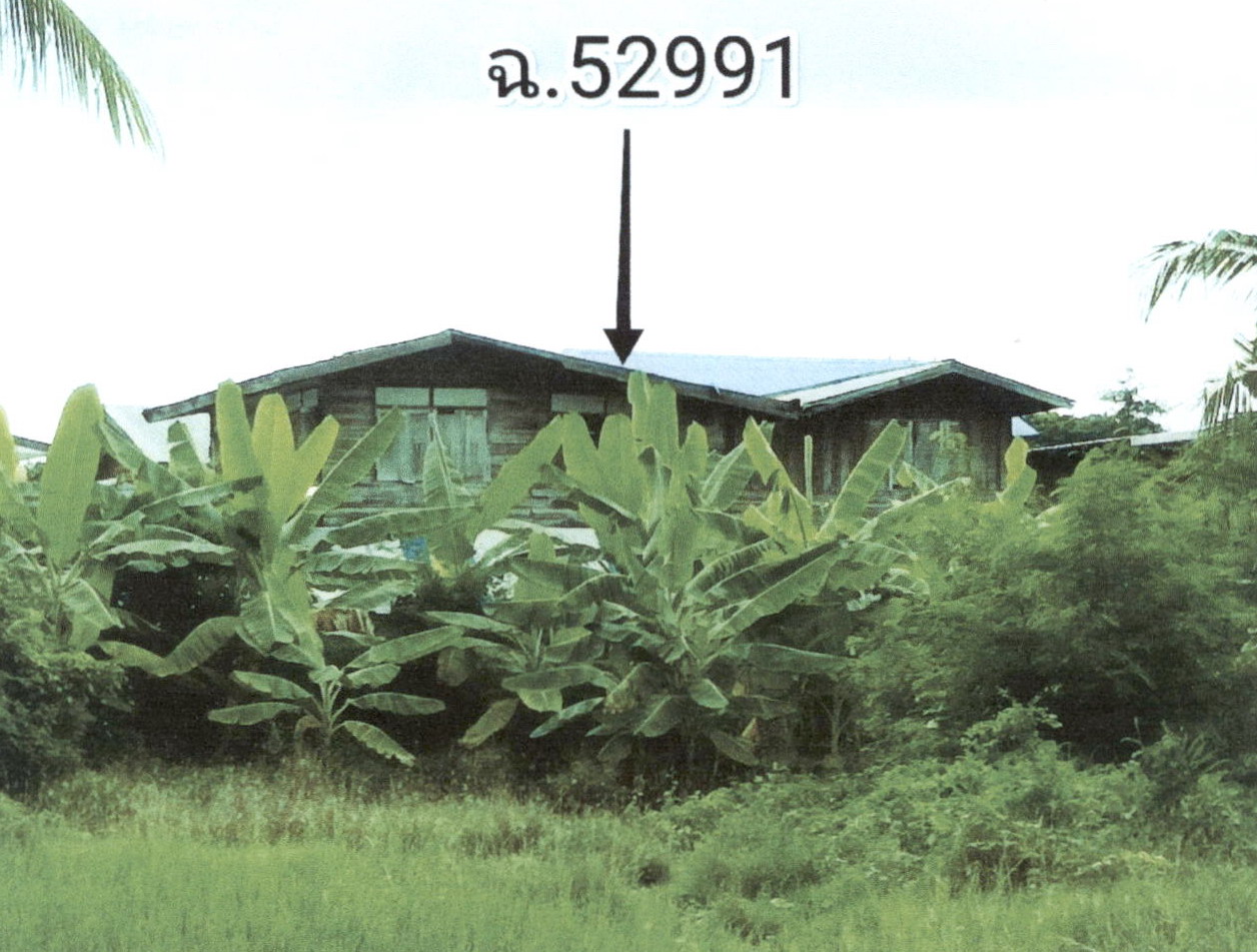 ขายทอดตลาด ที่ดินพร้อมสิ่งปลูกสร้าง ต.ยางตลาด อ.ยางตลาด จ.กาฬสินธุ์