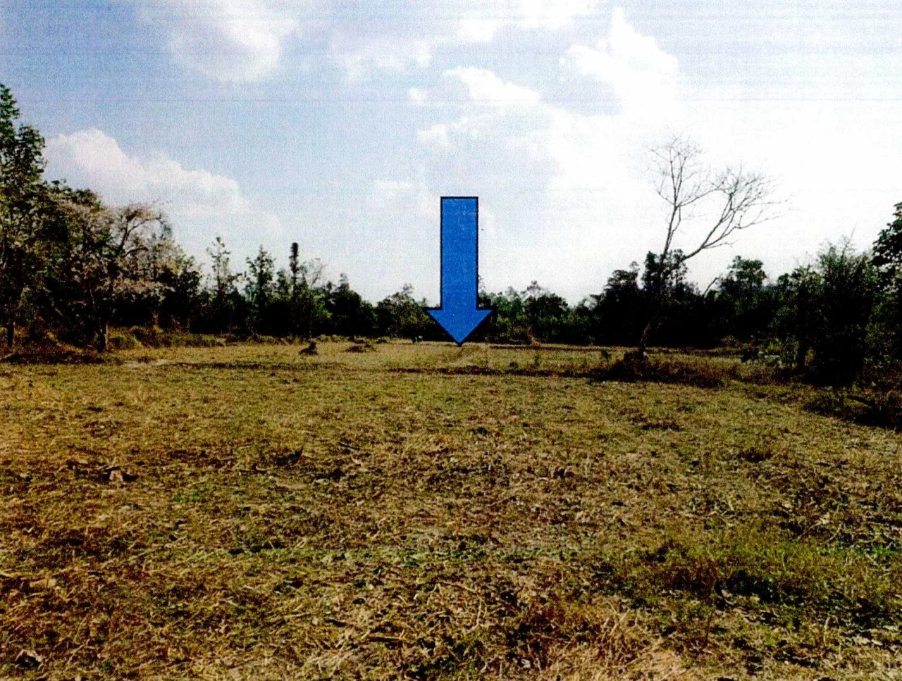 ขายทอดตลาด ที่ดินว่างเปล่า ต.ดู่ลาด อ.ทรายมูล จ.ยโสธร