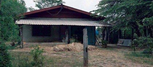 ขายทอดตลาด ที่ดินพร้อมสิ่งปลูกสร้าง ต.สระนกแก้ว อ.โพนทอง จ.ร้อยเอ็ด