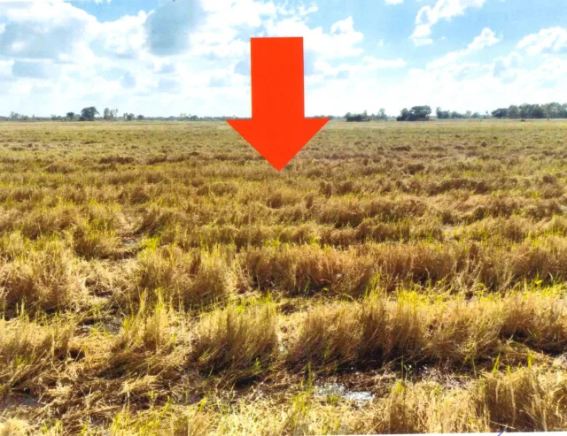ขายทอดตลาด ที่ดินว่างเปล่า ต.สิงห์โคก อ.เกษตรวิสัย จ.ร้อยเอ็ด