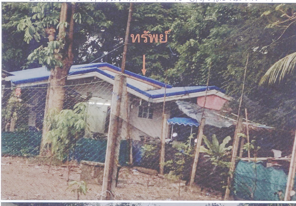 ขายทอดตลาด ที่ดินพร้อมสิ่งปลูกสร้าง ต.บ้านเลือก อ.โพธาราม จ.ราชบุรี
