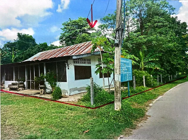 ขายทอดตลาด ที่ดินพร้อมสิ่งปลูกสร้าง ต.ม่วงลาด อ.จังหาร จ.ร้อยเอ็ด