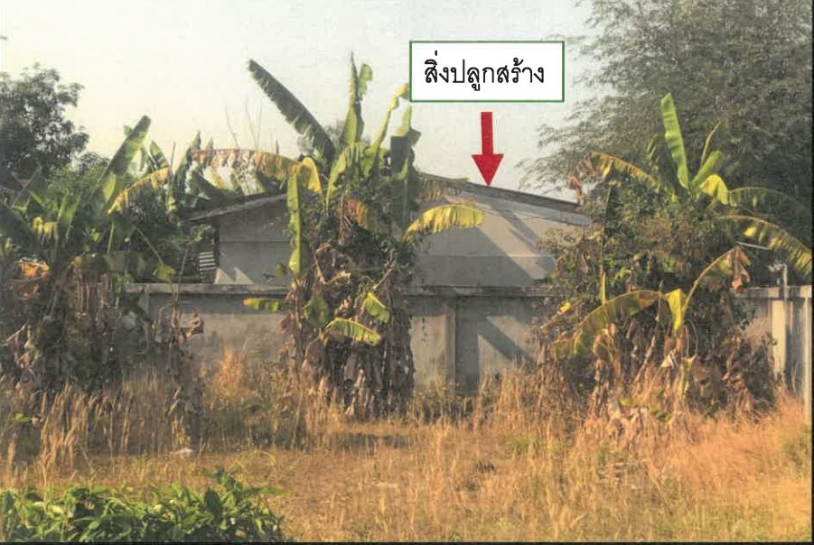 ขายทอดตลาด ที่ดินพร้อมสิ่งปลูกสร้าง ต.เหนือเมือง อ.เมืองร้อยเอ็ด จ.ร้อยเอ็ด