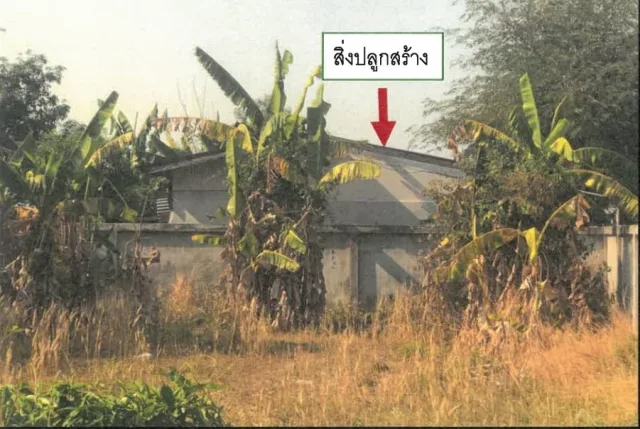 ขายทอดตลาด ที่ดินพร้อมสิ่งปลูกสร้าง ต.เหนือเมือง อ.เมืองร้อยเอ็ด จ.ร้อยเอ็ด
