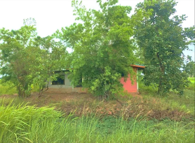 ขายทอดตลาด ที่ดินพร้อมสิ่งปลูกสร้าง ต.ขวาว อ.เสลภูมิ จ.ร้อยเอ็ด