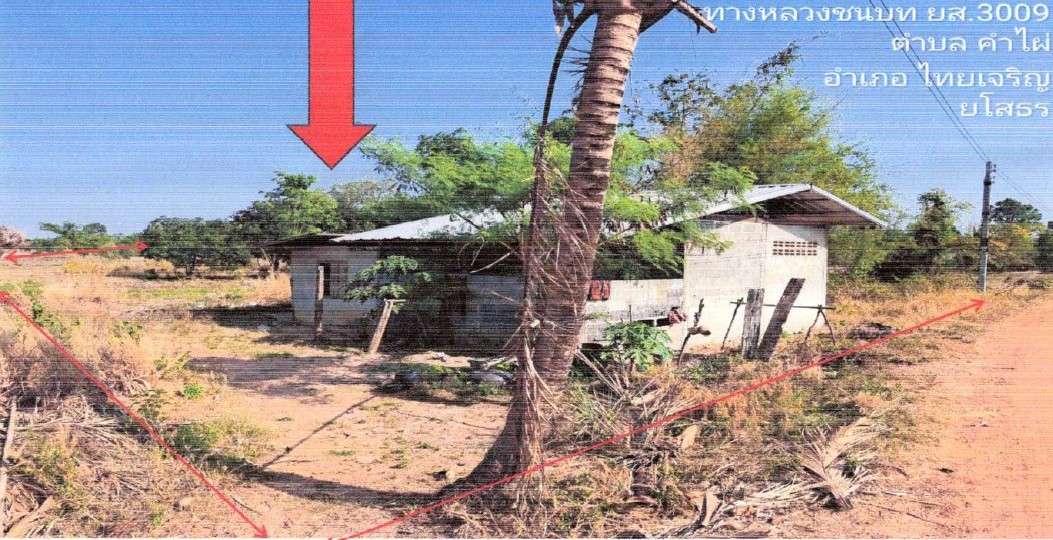 ขายทอดตลาด ที่ดินพร้อมสิ่งปลูกสร้าง ต.คำไผ่ อ.ไทยเจริญ จ.ยโสธร