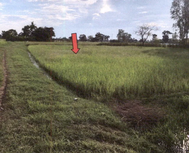 ขายทอดตลาด ที่ดินว่างเปล่า ต.หนองแก้ว อ.เมืองร้อยเอ็ด จ.ร้อยเอ็ด
