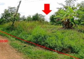 ขายทอดตลาด ที่ดินว่างเปล่า ต.คำไผ่ อ.ไทยเจริญ จ.ยโสธร