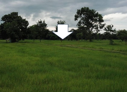 ขายทอดตลาด ที่ดินว่างเปล่า ต.โพธิ์ศรีสว่าง อ.โพนทอง จ.ร้อยเอ็ด