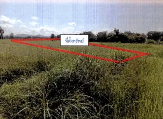 รูปทรัพย์ 2