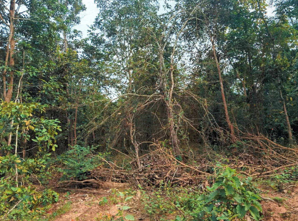 ขายทอดตลาด ที่ดินว่างเปล่า ต.เถินบุรี อ.เถิน จ.ลำปาง