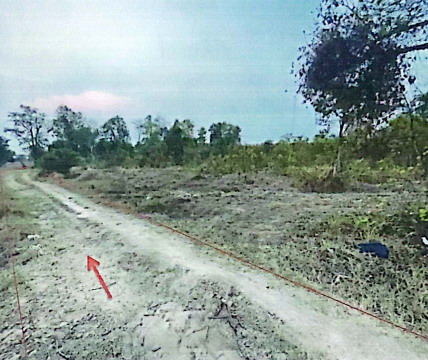 ขายทอดตลาด ที่ดินว่างเปล่า ต.ท่าม่วง อ.เสลภูมิ จ.ร้อยเอ็ด