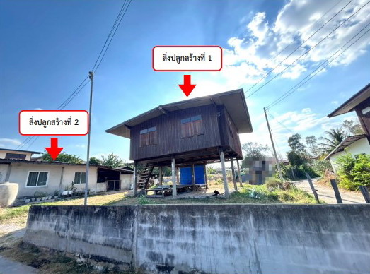 ขายทอดตลาด ที่ดินพร้อมสิ่งปลูกสร้าง ต.โพธิ์ไทร อ.ป่าติ้ว จ.ยโสธร