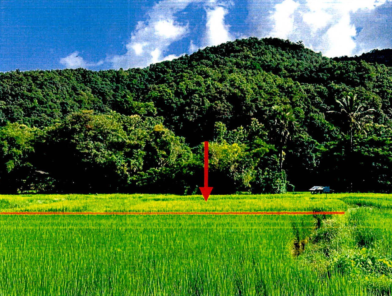 ขายทอดตลาด ที่ดินว่างเปล่า ต.ดอนไฟ อ.แม่ทะ จ.ลำปาง