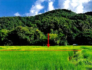 รูปทรัพย์ 1