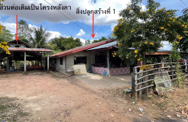 ขายทอดตลาด ที่ดินพร้อมสิ่งปลูกสร้าง ต.ขวาว อ.เสลภูมิ จ.ร้อยเอ็ด