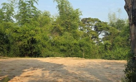 ขายทอดตลาด ที่ดินว่างเปล่า ต.หลักเมือง อ.กมลาไสย จ.กาฬสินธุ์