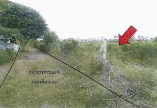 รูปทรัพย์ 5