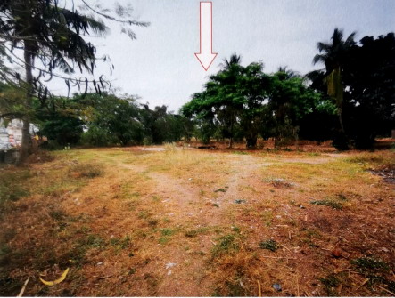 ขายทอดตลาด ที่ดินว่างเปล่า ต.เกาะแก้ว อ.เสลภูมิ จ.ร้อยเอ็ด