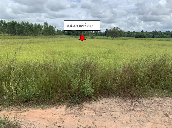 ขายทอดตลาด ที่ดินว่างเปล่า ต.ขั้นไดใหญ่ อ.เมืองยโสธร จ.ยโสธร