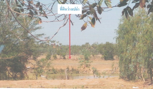 ขายทอดตลาด ที่ดินว่างเปล่า ต.กำแพง อ.เกษตรวิสัย จ.ร้อยเอ็ด