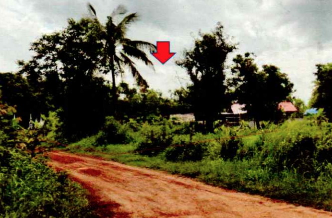 ขายทอดตลาด ที่ดินว่างเปล่า จ.ร้อยเอ็ด