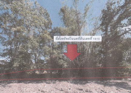 ขายทอดตลาด ที่ดินว่างเปล่า ต.ท่าหาดยาว อ.โพนทราย จ.ร้อยเอ็ด