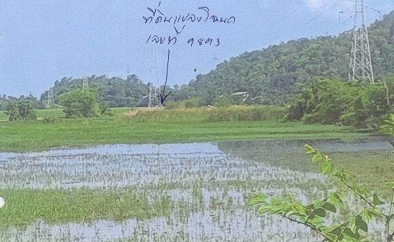 ขายทอดตลาด ที่ดินว่างเปล่า ต.อ่างทอง อ.เมืองราชบุรี จ.ราชบุรี
