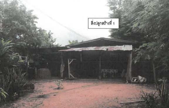 ขายทอดตลาด ที่ดินพร้อมสิ่งปลูกสร้าง ต.พระเจ้า อ.เชียงขวัญ จ.ร้อยเอ็ด