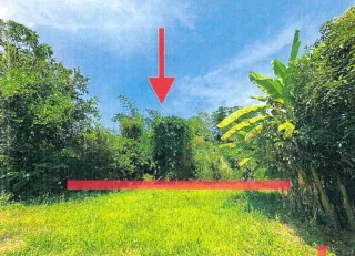 รูปทรัพย์ 2