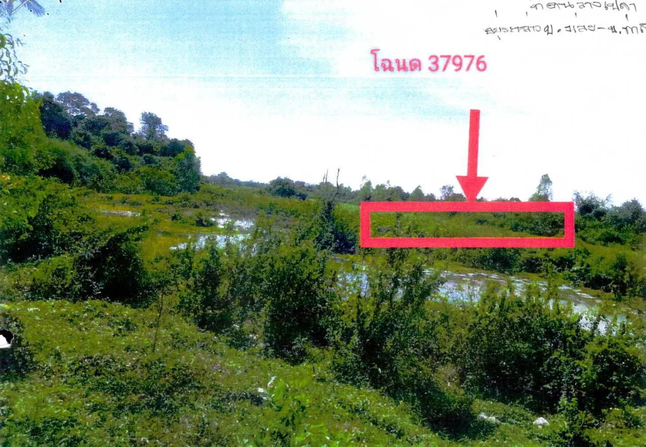 ขายทอดตลาด ที่ดินว่างเปล่า ต.ม่วง อ.มหาชนะชัย จ.ยโสธร