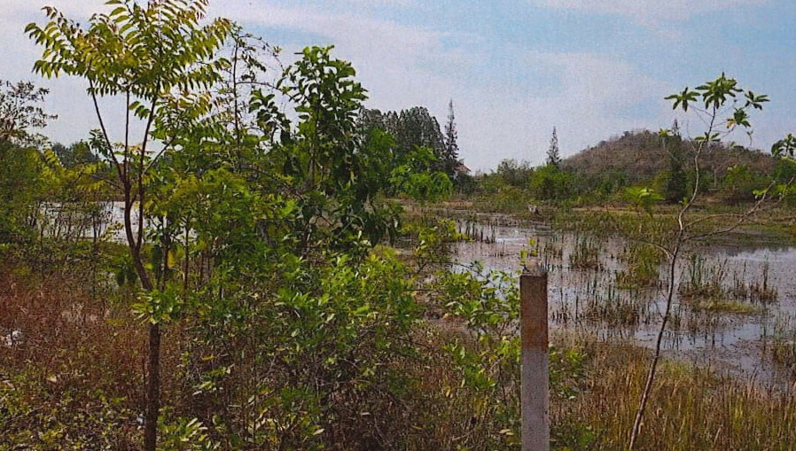 ขายทอดตลาด ที่ดินว่างเปล่า ต.หินกอง อ.เมืองราชบุรี จ.ราชบุรี