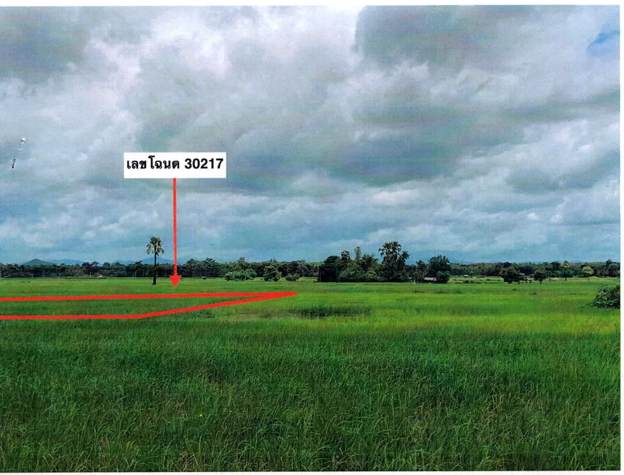 ขายทอดตลาด ที่ดินว่างเปล่า ต.ท่าผา อ.เกาะคา จ.ลำปาง