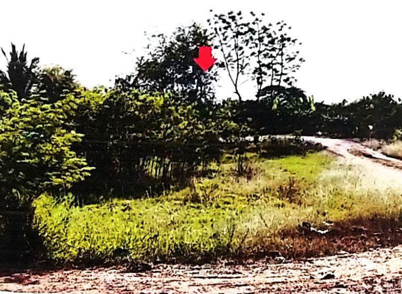 ขายทอดตลาด ที่ดินว่างเปล่า ต.บ้านไร่ อ.เมืองราชบุรี จ.ราชบุรี