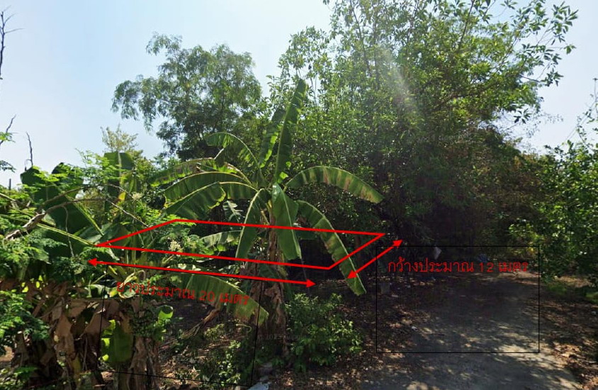 ขายทอดตลาด ที่ดินว่างเปล่า ต.หินกอง อ.เมืองราชบุรี จ.ราชบุรี