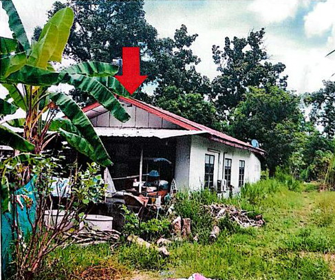 ขายทอดตลาด ที่ดินพร้อมสิ่งปลูกสร้าง ต.รอบเมือง อ.หนองพอก จ.ร้อยเอ็ด