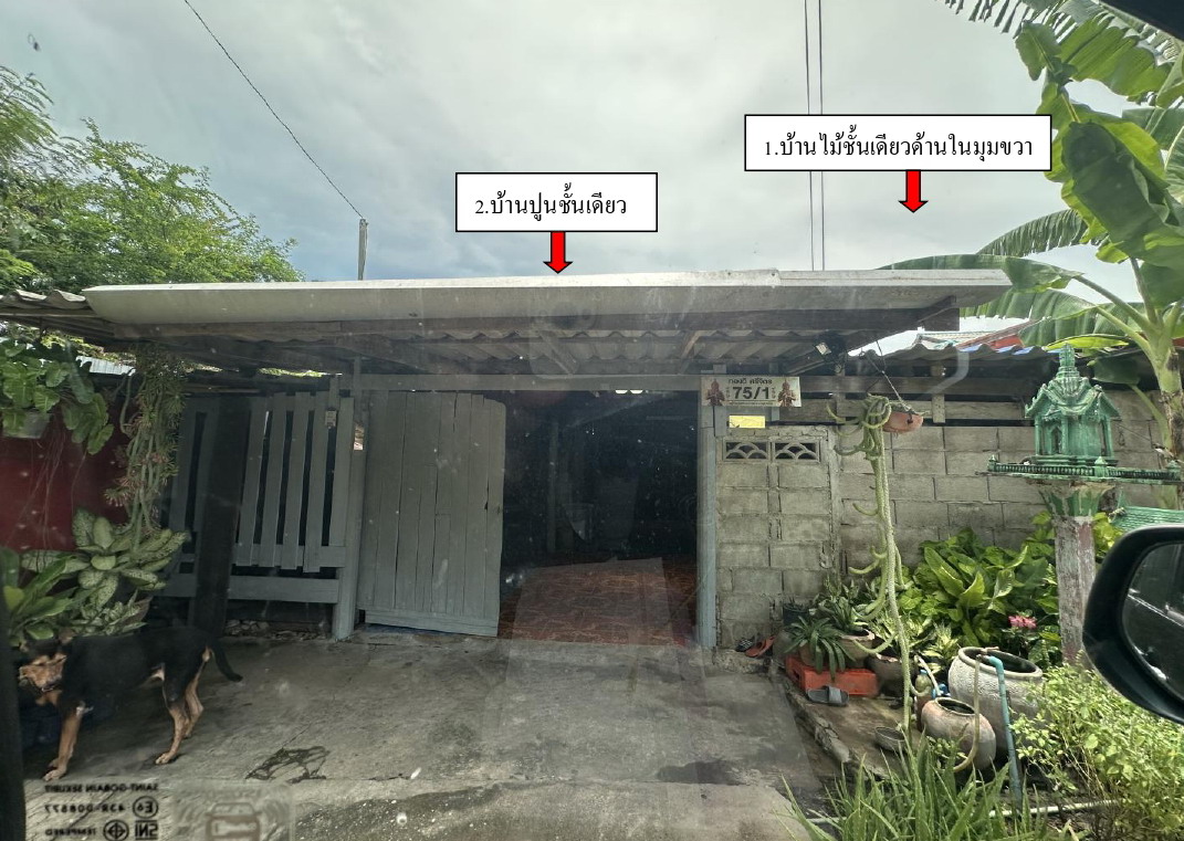 ขายทอดตลาด ที่ดินพร้อมสิ่งปลูกสร้าง ต.วัดแก้ว อ.บางแพ จ.ราชบุรี