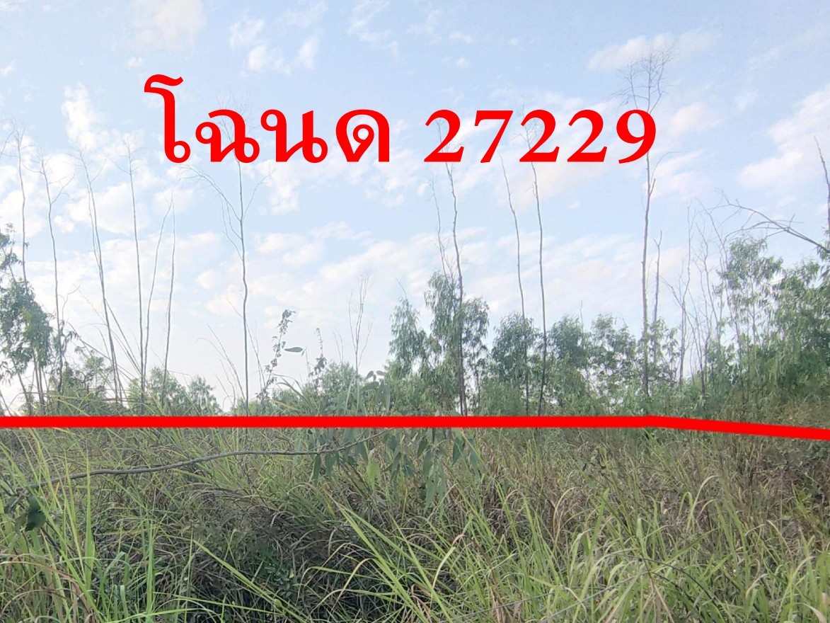 ขายทอดตลาด ที่ดินว่างเปล่า ต.ศรีฐาน อ.ป่าติ้ว จ.ยโสธร