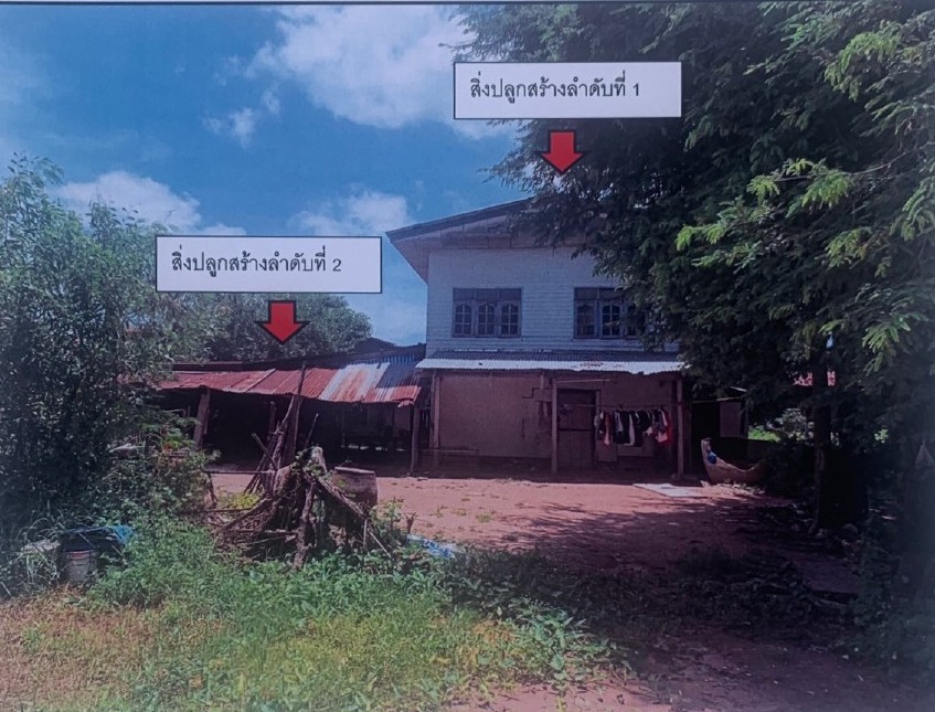 ขายทอดตลาด ที่ดินพร้อมสิ่งปลูกสร้าง ต.คูเมือง อ.มหาชนะชัย จ.ยโสธร