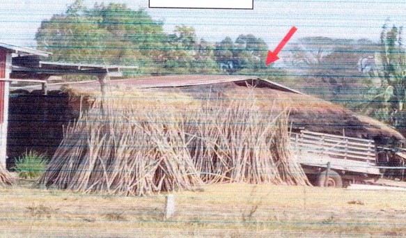 ขายทอดตลาด ที่ดินพร้อมสิ่งปลูกสร้าง ต.โคกสำราญ อ.เลิงนกทา จ.ยโสธร