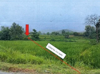 รูปทรัพย์ 1