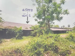 รูปทรัพย์ 2