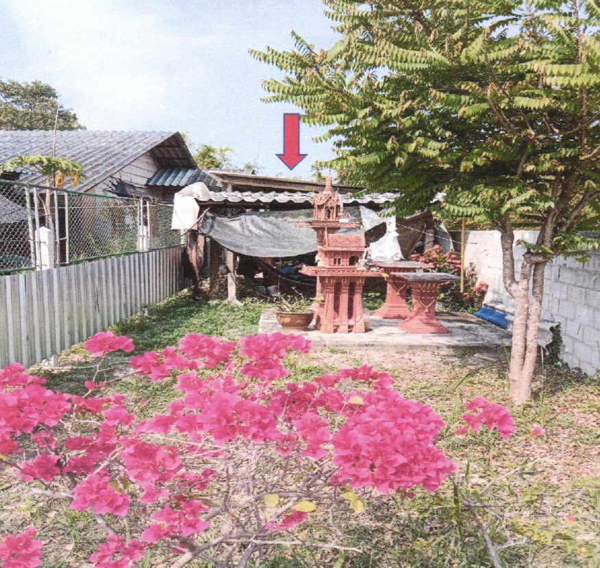 ขายทอดตลาด ที่ดินพร้อมสิ่งปลูกสร้าง ต.ชำแระ อ.โพธาราม จ.ราชบุรี