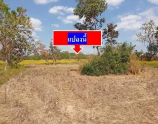 รูปทรัพย์ 1