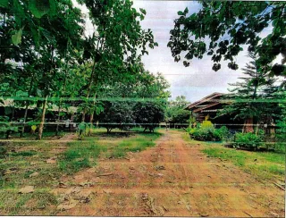 รูปทรัพย์ 2