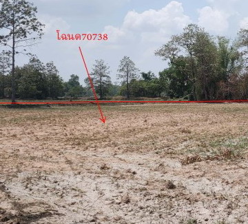 ขายทอดตลาด ที่ดินว่างเปล่า ต.ดงแคนใหญ่ อ.คำเขื่อนแก้ว จ.ยโสธร