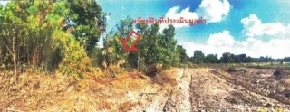 รูปทรัพย์ 1