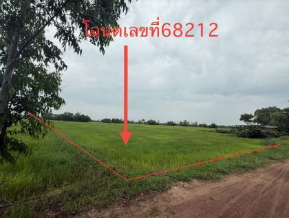ขายทอดตลาด ที่ดินว่างเปล่า ต.นาแซง อ.เสลภูมิ จ.ร้อยเอ็ด