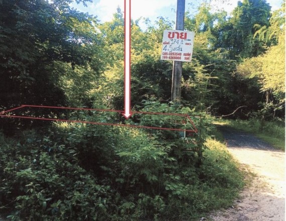ขายทอดตลาด ที่ดินว่างเปล่า ต.สำราญ อ.เมืองยโสธร จ.ยโสธร